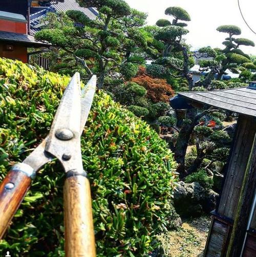 绿化工如何查询真假
