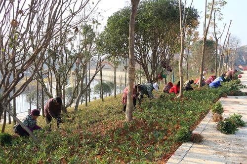 南京市现在绿化工证一定要持证上岗吗具体考试流程有哪些