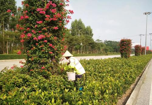 新沂市绿化工报名入口全国通用 在哪里查是否全国通用
