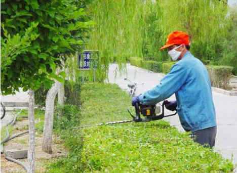 绿化工须知