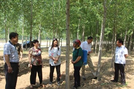 杭州假山工证如何考取