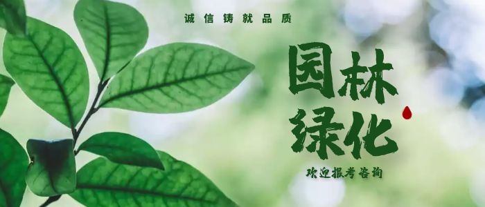如何报考假山工报名费用和考试流程