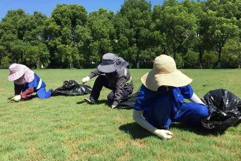 考绿化工在哪里报名