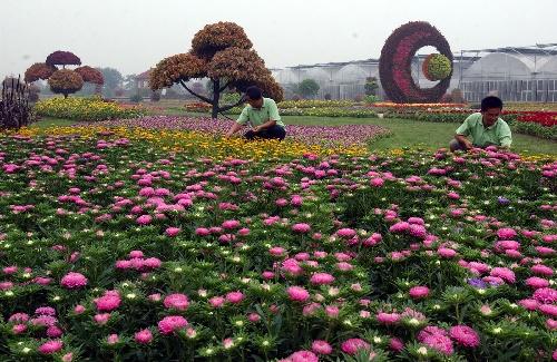 遂宁考花卉工一般需要考几个科目避免踩雷