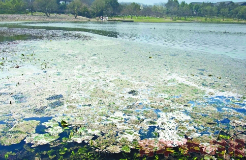 福州污水处理工报名