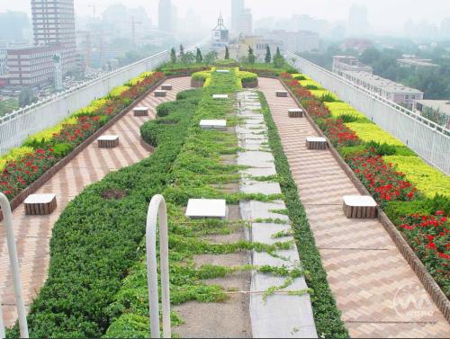 绿化工在哪里报名